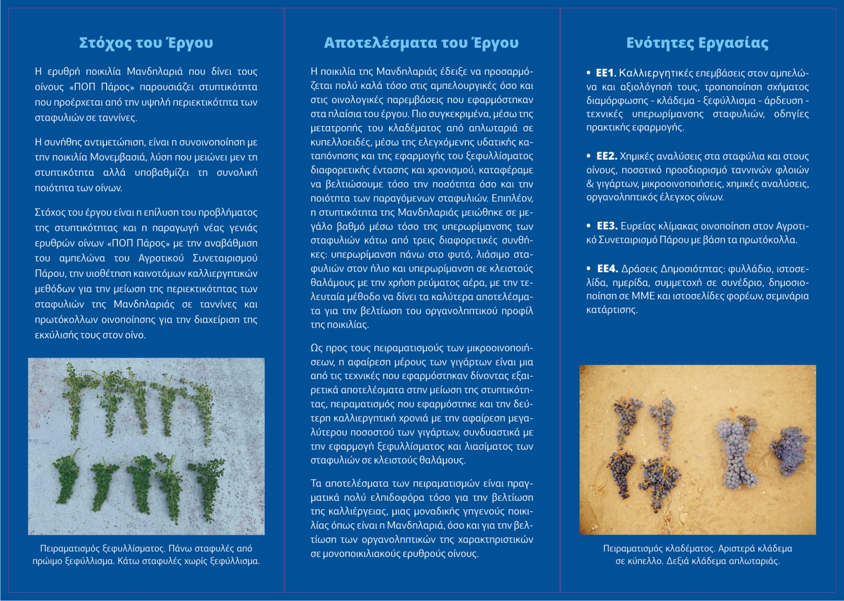 fylladio triptyxo ampelourgia 2b - Μ16ΣΥΝ2-00139